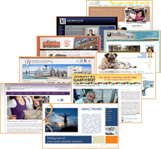 learn more about Small Business Websites